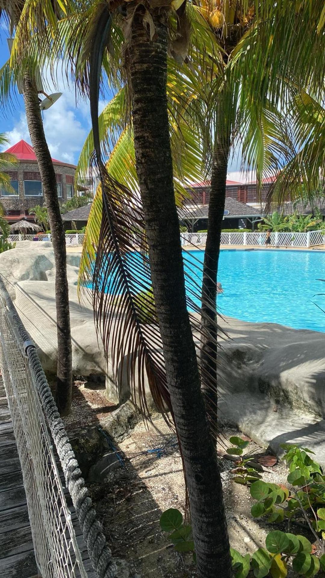 Studio Bord De Mer Avec Piscine - Le Manganao, Saint-Francois Ngoại thất bức ảnh