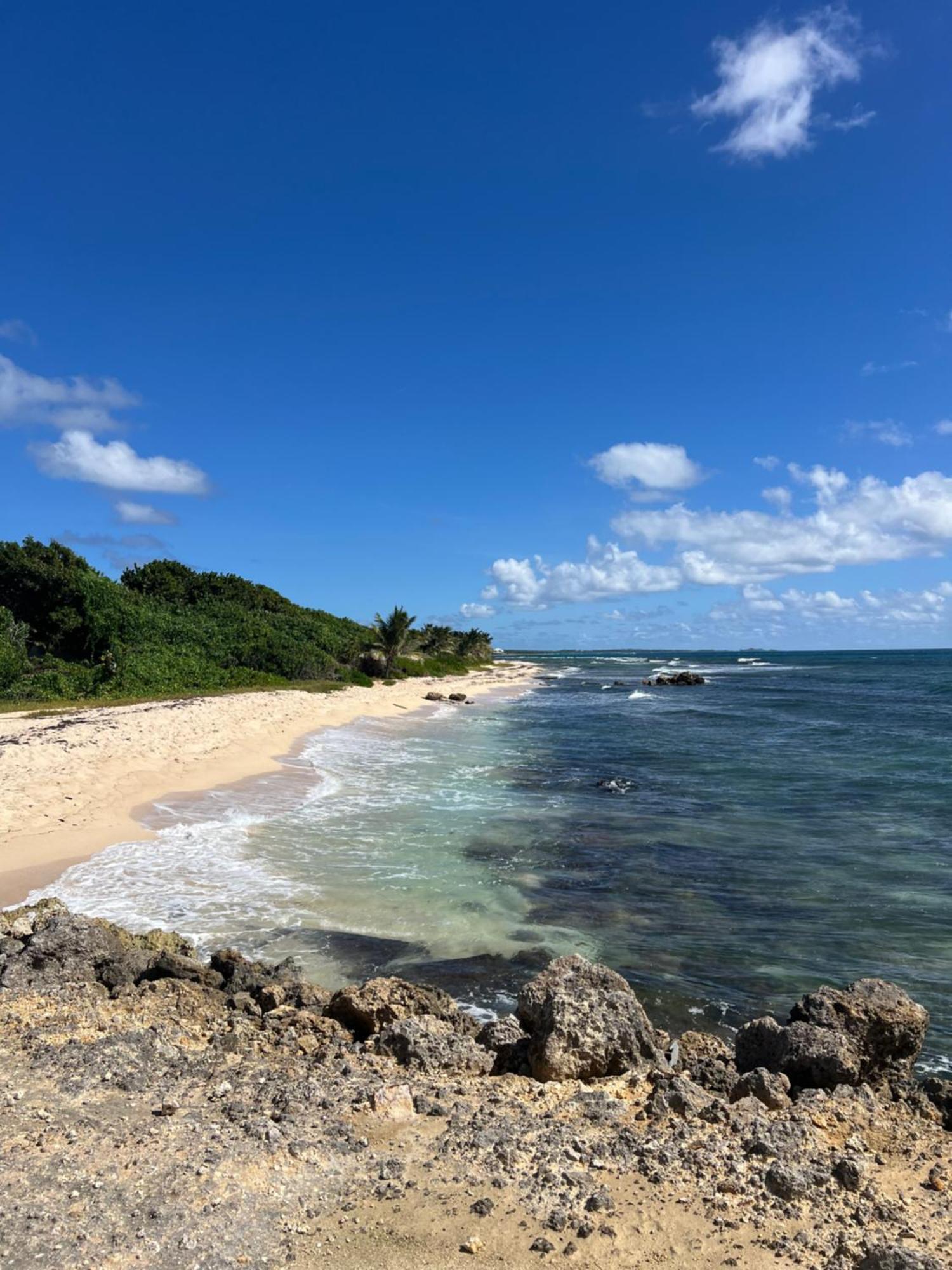 Studio Bord De Mer Avec Piscine - Le Manganao, Saint-Francois Ngoại thất bức ảnh